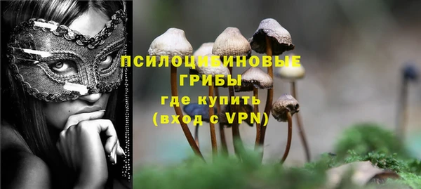винт Богородск