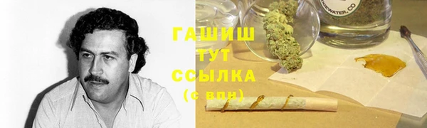 шишки Бородино