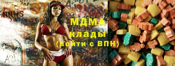 шишки Бородино