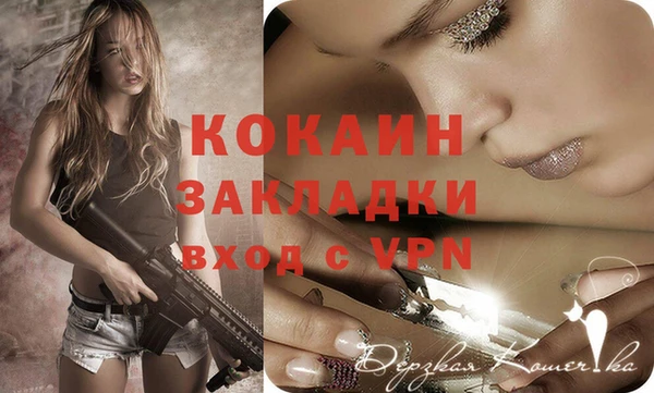 гидра Бронницы