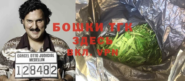 гашик Богородицк