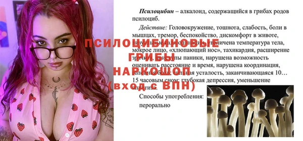 гидра Бронницы