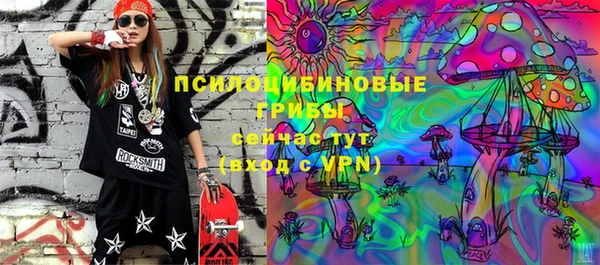 гашик Богородицк