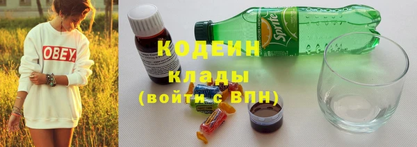 шишки Бородино