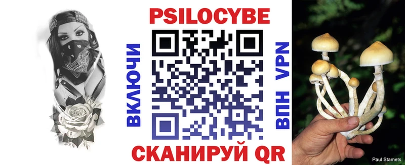 купить   Обь  Псилоцибиновые грибы мицелий 
